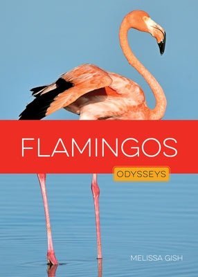 Flamingos by Gish, Melissa