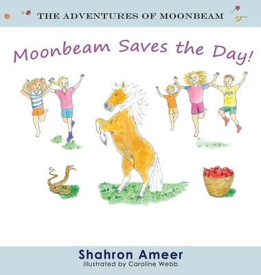 Moonbeam Saves the Day by Ameer, Shahron