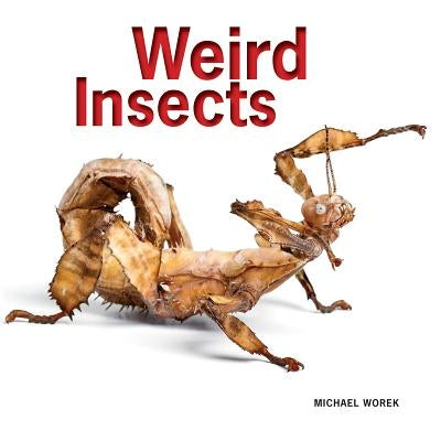 Weird Insects by Worek, Michael A.