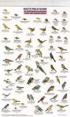 Mac's Field Guides: Northern California Park & Garden Birds by Macgowan, Craig