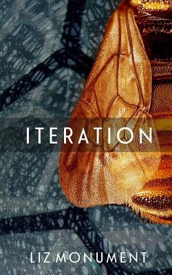 Iteration by Monument, Liz