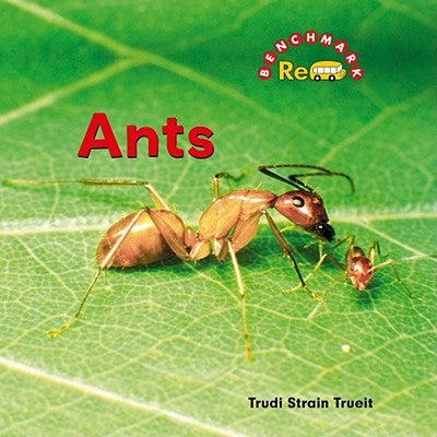 Ants by Strain Trueit, Trudi