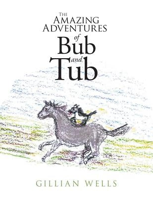 The Amazing Adventures of Bub and Tub by Wells, Gillian
