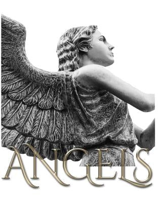 Angel Journal: Angel journal by Huhn, Michael