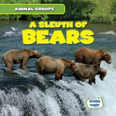 A Sleuth of Bears by Lynch, Seth