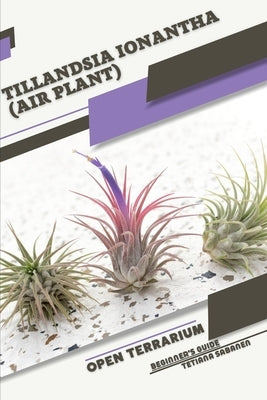 Tillandsia ionantha (Air Plant): Open terrarium, Beginner's Guide by Sabanen, Tetiana