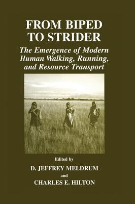 From Biped to Strider: The Emergence of Modern Human Walking, Running, and Resource Transport by Meldrum, D. Jeffrey
