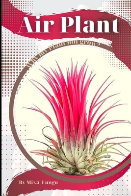 Air Plant: Why my Plant not grow? problems and their solutions by Lungu, Mixa