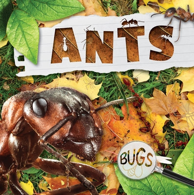 Ants by Anthony, William