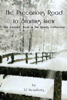 The Precarious Road to Starting Anew by Meadows, Tj