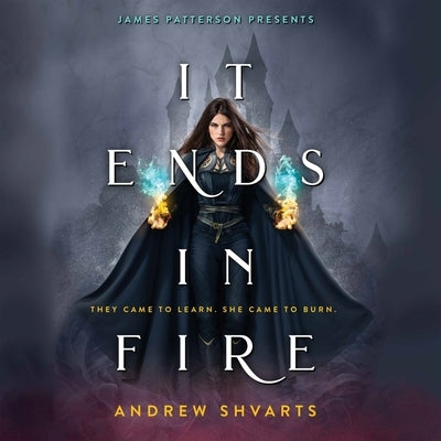 It Ends in Fire by Shvarts, Andrew