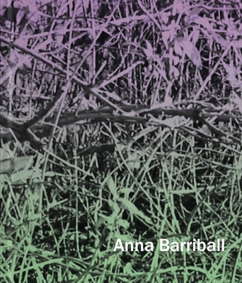 Anna Barriball by Barriball, Anna