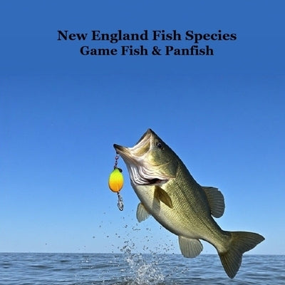 New England Game Fish and Panfish Species Kids Book: Great Book About the Different Types of Fish in New England by Marie, Kinsey