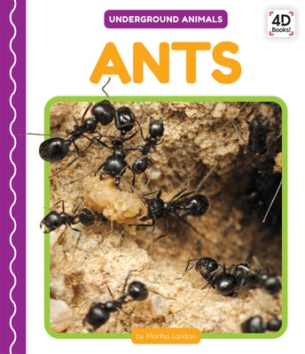 Ants by London, Martha