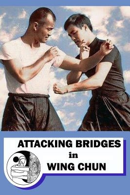 Attacking bridges in Wing Chun by Neskorodev, Semyon