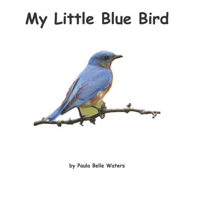 My Little Blue Bird by Waters, Paula Belle