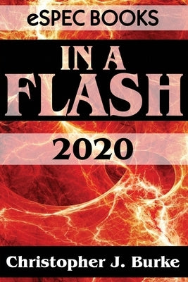In a Flash 2020 by Burke, Christopher J.