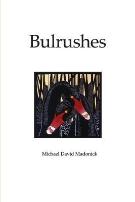 Bulrushes by Madonick, Michale