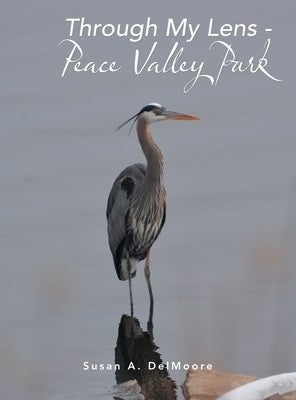 Through My Lens - Peace Valley Park by Delmoore, Susan A.