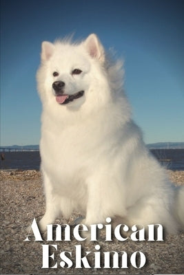 American Eskimo: How to train your dog and raise from puppy correctly by Pustova, Nina