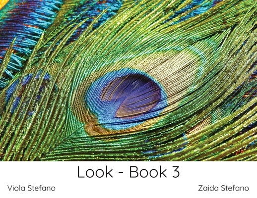 Look - Book 3 by Stefano, Zaida