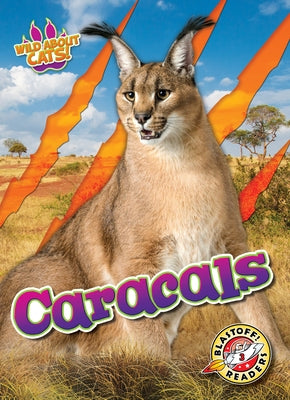 Caracals by Anderson, Shannon