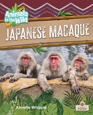 Japanese Macaque by Whipple, Annette