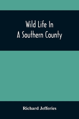 Wild Life In A Southern County by Jefferies, Richard