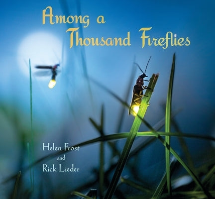 Among a Thousand Fireflies by Frost, Helen