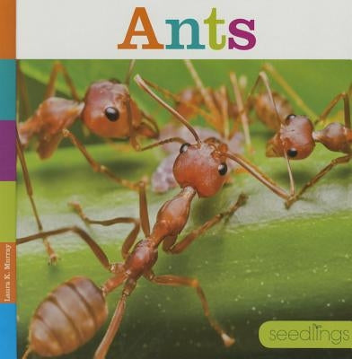 Ants by Murray, Laura K.
