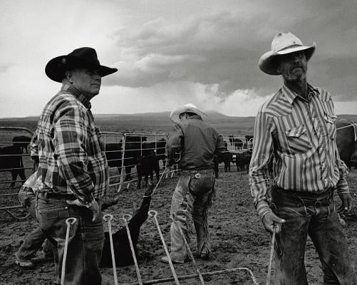John Langmore: Open Range: America's Big-Outfit Cowboy by Langmore, John