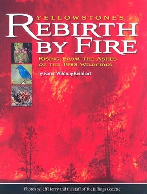 Yellowstone's Rebirth by Fire: Rising from the Ashes of the 1988 Wildfires by Reinhart, Karen Wildung