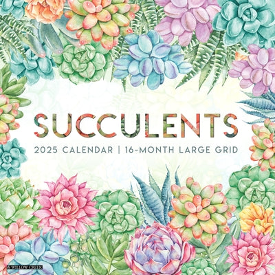Succulents--Large Grid 2026 12 X 12 Wall Calendar by Willow Creek Press