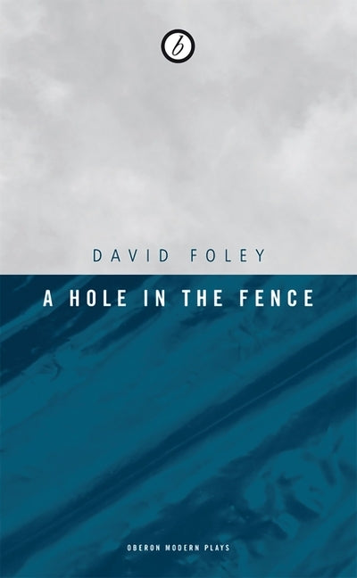 A Hole in the Fence by Foley, David