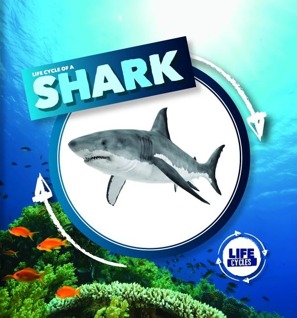 Life Cycle of a Shark by Holmes, Kirsty