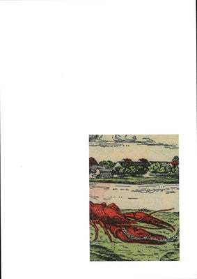 Julian Irlinger: Fragments of a Crisis by Irlinger, Julian