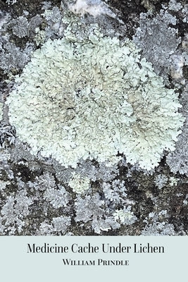 Medicine Cache Under Lichen by Prindle, William