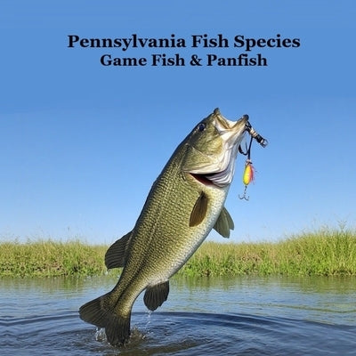 Pennsylvania Game Fish and Panfish Species Kids Book: Great Book About the Different Types of Fish in Pennsylvania by Marie, Kinsey