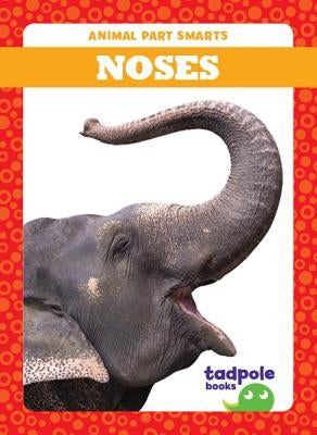 Noses by Gleisner, Jenna Lee