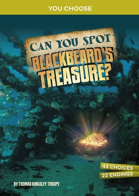 Can You Spot Blackbeard's Treasure?: An Interactive Treasure Adventure by Troupe, Thomas Kingsley