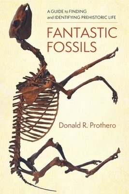 Fantastic Fossils: A Guide to Finding and Identifying Prehistoric Life by Prothero, Donald R.