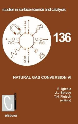Natural Gas Conversion VI: Volume 136 by Fleisch, T. H.