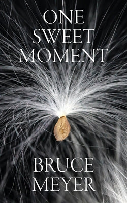 One Sweet Moment: Volume 305 by Meyer, Bruce