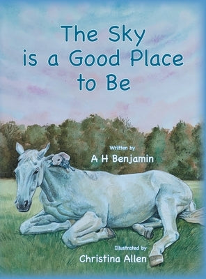 The Sky is a Good Place to Be by Allen, Christina