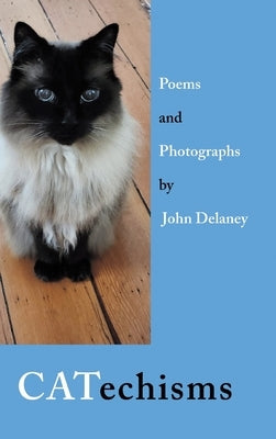 CATechisms by Delaney, John