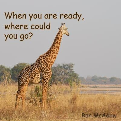 When you are ready, where could you go? by McAdow, Ron
