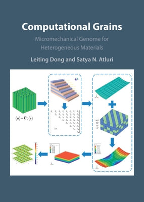 Computational Grains by Dong, Leiting