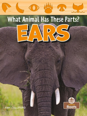 Ears by Culliford, Amy
