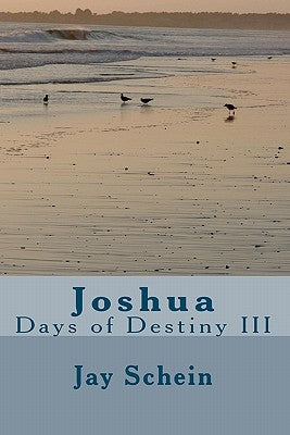 Joshua: Days of Destiny III by Schein, Jay