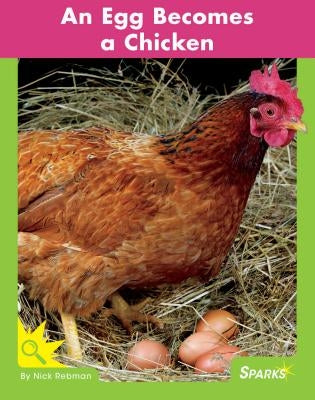 An Egg Becomes a Chicken by Rebman, Nick